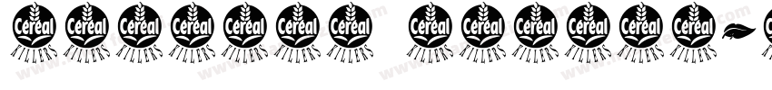 airbnbn cereal字体转换